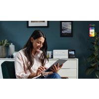 Epson L8160 (белый) Image #10