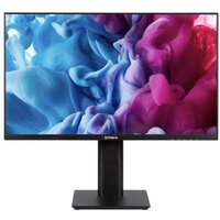 IRBIS MirView 24FIDS123.100_MIR