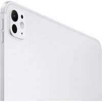 Apple iPad Pro 13" 2024 5G 2TB (серебристый, с антибликовым покрытием) Image #3