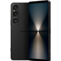 Sony Xperia 1 VI XQ-EC72 12GB/256GB (черный)