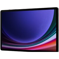 Samsung Galaxy Tab S9+ 5G SM-X816 12GB/256GB (графитовый) Image #7