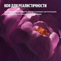 Яндекс ТВ Станция Бейсик QLED с Алисой 43 Image #14