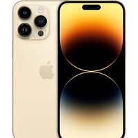 Apple iPhone 14 Pro Max Dual SIM 512GB (золотистый) Image #1