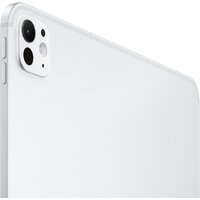 Apple iPad Pro 13" 2025 256GB (серебристый) Image #3
