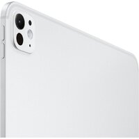 Apple iPad Pro 13" 2024 2TB (серебристый, с антибликовым покрытием) Image #3