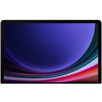 Samsung Galaxy Tab S9 5G SM-X716 12GB/256GB (бежевый) Image #2