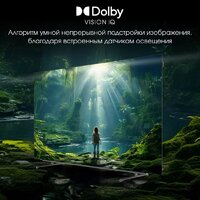 Digma Pro OLED 65M Image #14