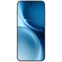 Vivo X300 Pro V2502A 16GB/1TB китайская версия (бирюзовый) Image #2