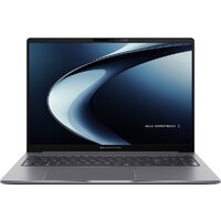 ASUS ExpertBook P3 P3605CVA-MB0159 + 16 ГБ Win 11 Pro