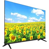 Aiwa 43NG-U4300B Image #2