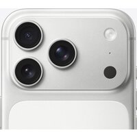 Apple iPhone 17 Pro Dual SIM 256GB (серебристый) Image #4